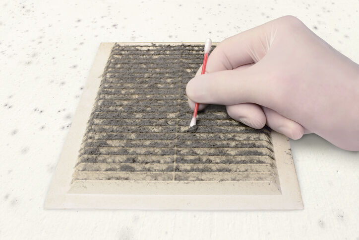 Every breath you take: Mold and bacteria growth indoors is an often unseen health threat