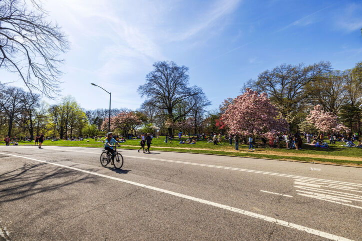Spring Into Action