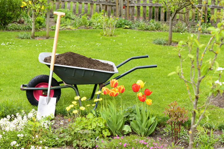 Grow Your Own: Start your vegetable garden with just a few simple tips