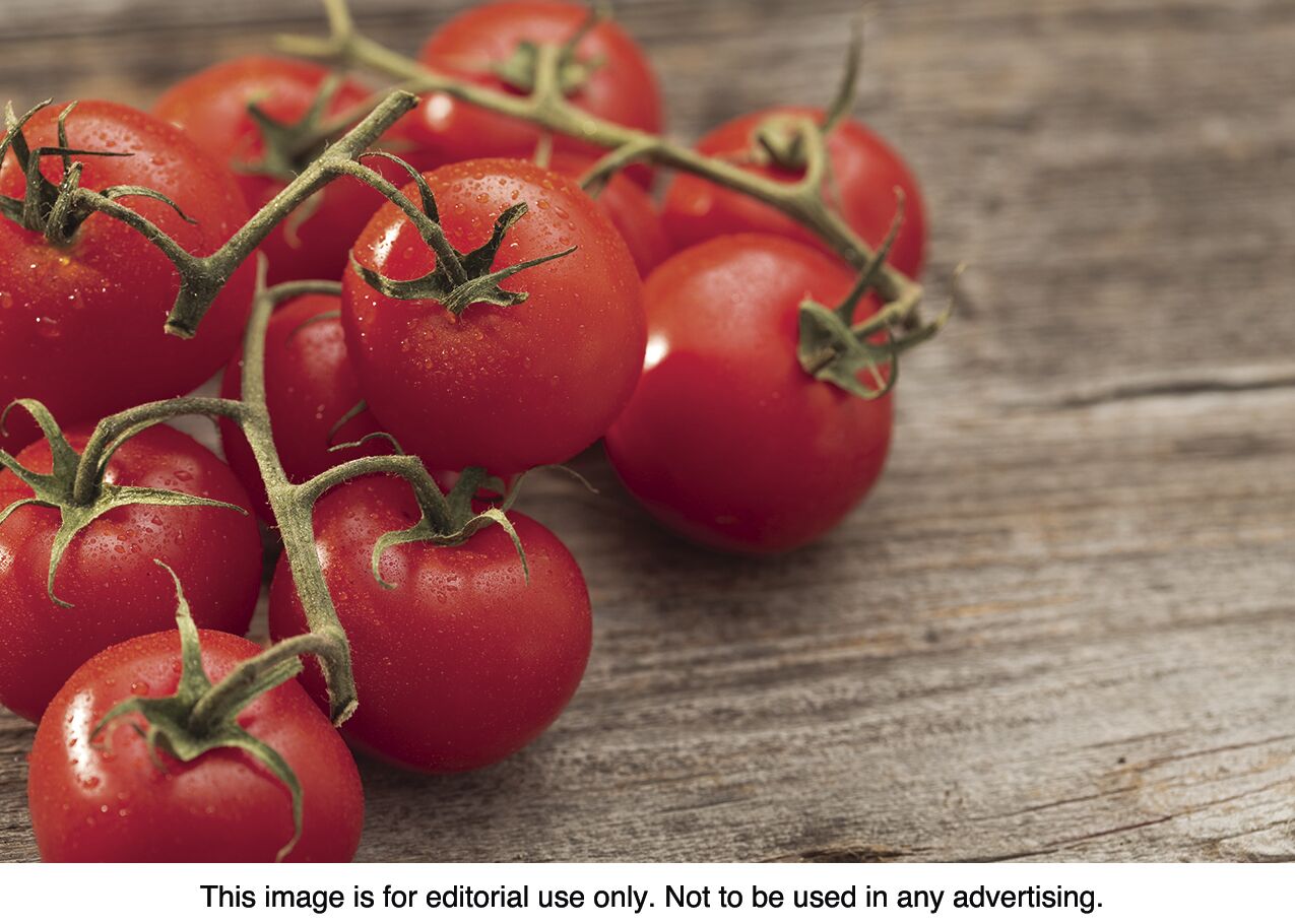 The many benefits of tomatoes
