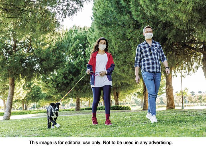 Natural tick repellents to protect pooches