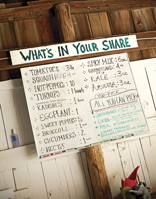 CSA share sign
