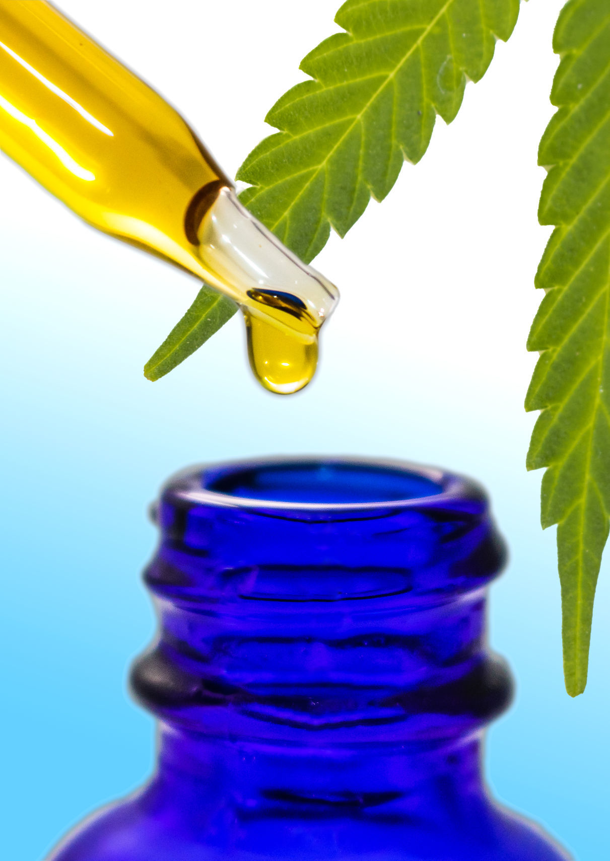 Cannabis Oil