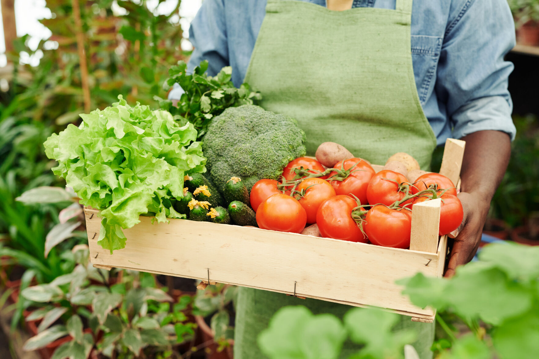 Gardening