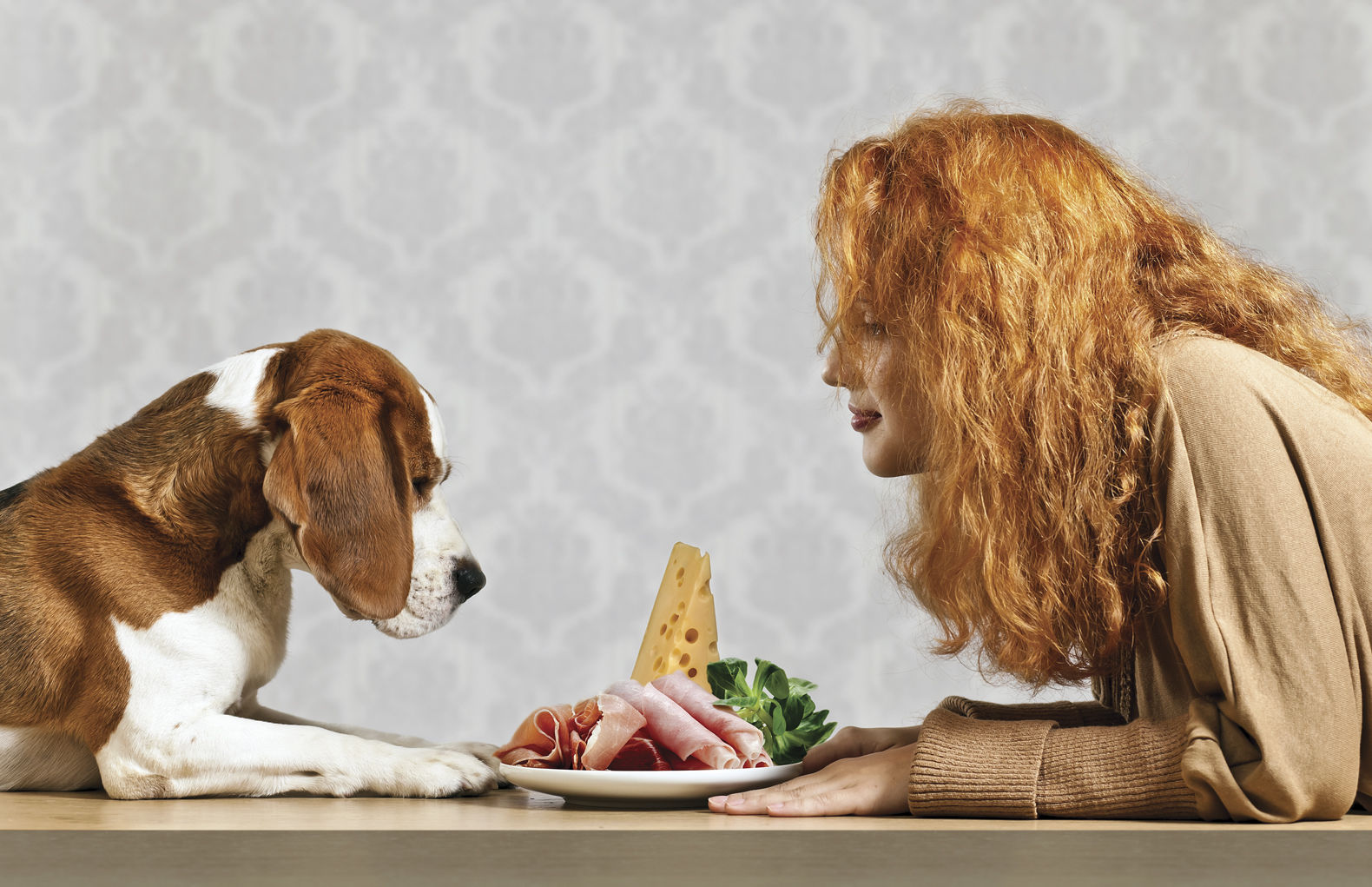 Fresh "people" foods prove healthy for pets