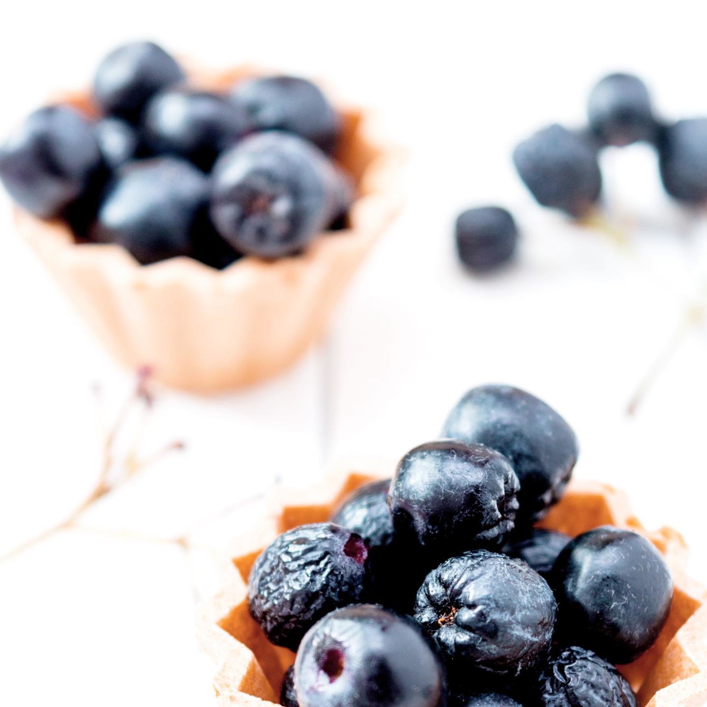 Immune boosters