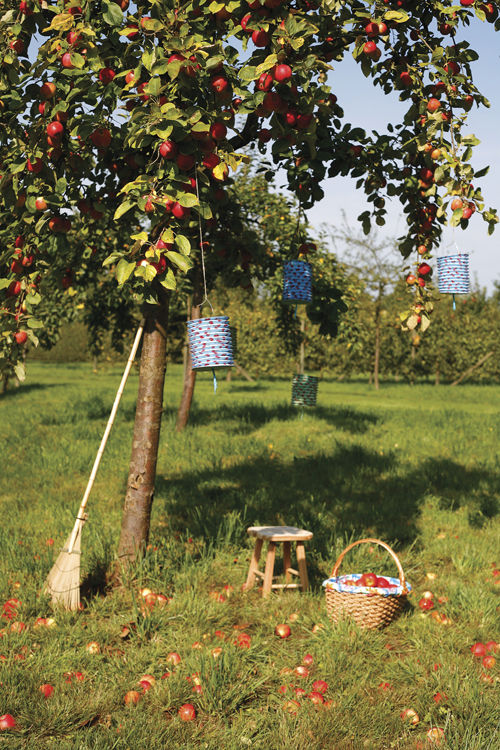 Apple-based recipes perfect for fall