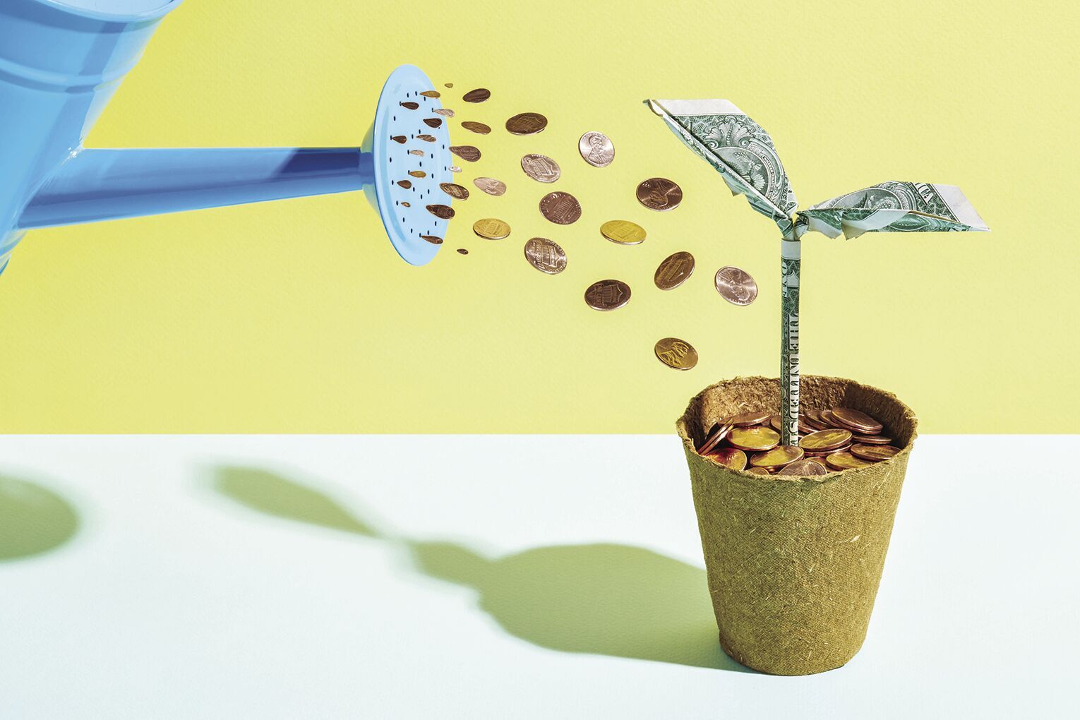 Making sense of one’s dollars: Tips for maximizing financial resources
