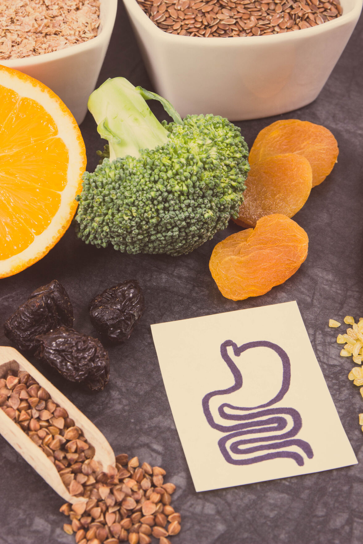 Gut Health