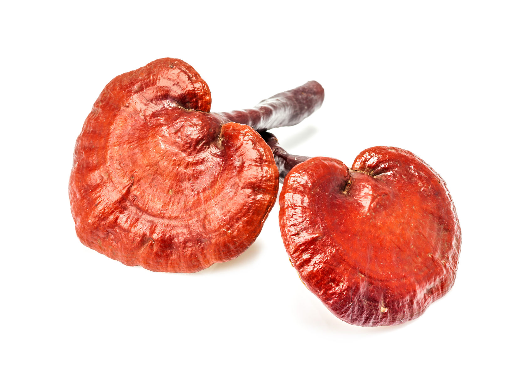 This wellness trend emphasizes the superfood status of mushrooms