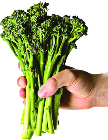 Top foods to fight breast cancer