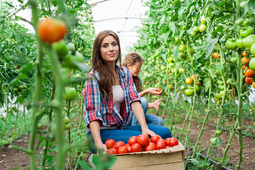 Make use of the fruits and vegetables growing in your garden