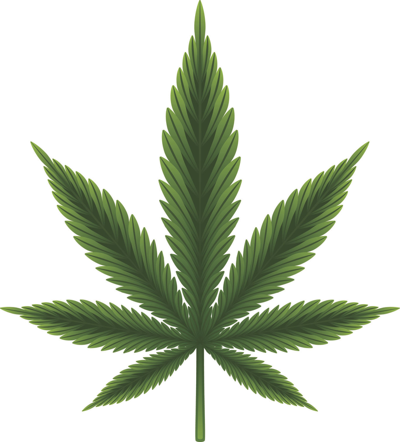 Cannabis