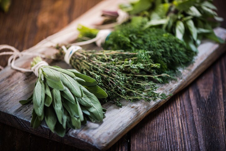 Small Garden, Big Results: Herbs can add flavor to meals and provide health benefits