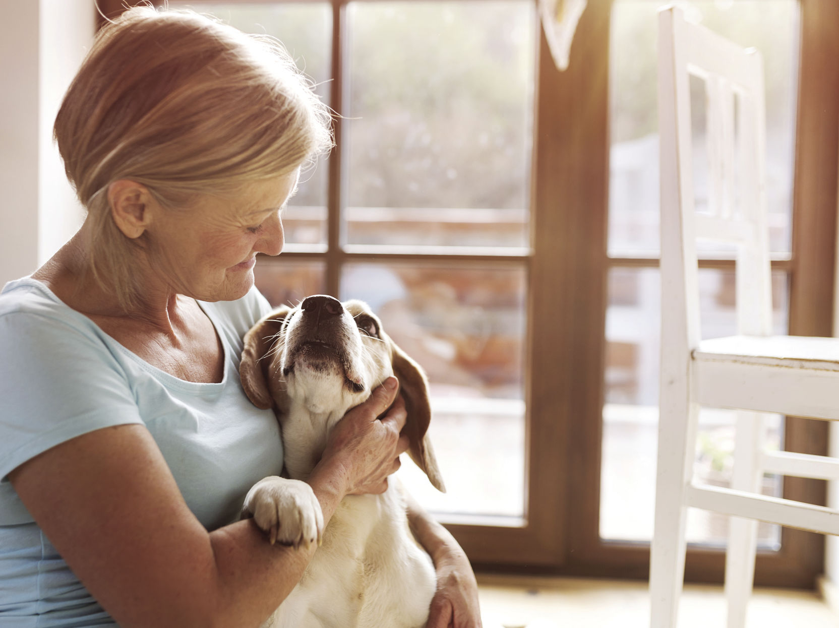 Examining some alternative therapies to treat pets’ aches and pains