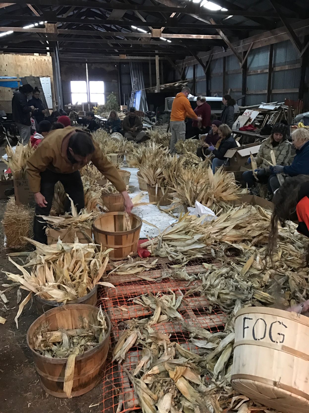OC White Corn 0117 3.jpg