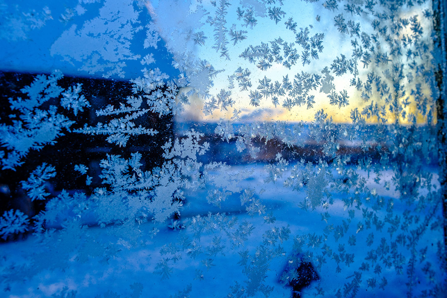 Raising your guard against Old Man Winter
