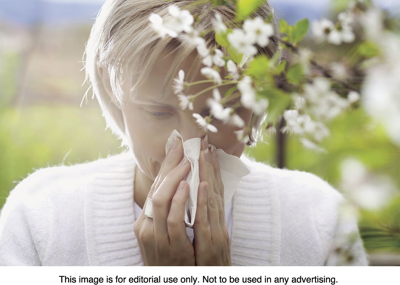 How to corral spring allergies